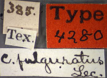 Media type: image;   Entomology 4280 Aspect: labels